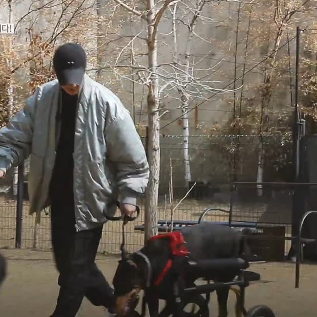 송지오옴므 컬렉션 카라리스 더블넥 점퍼 블랙