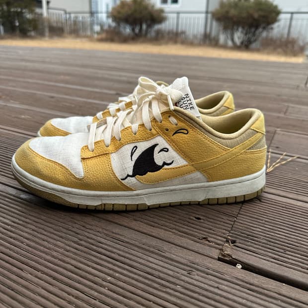 나이키 덩크 로우 넥스트 네이쳐 썬 클럽 280