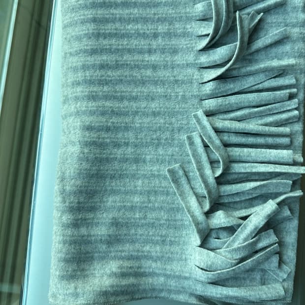 이세이미야케 Homme Plisse