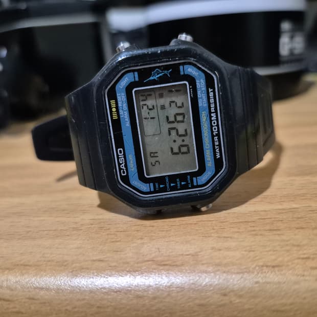 Casio w400