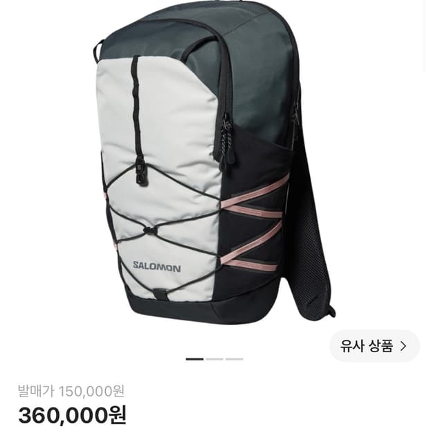 살로몬 퀵레이스 LT 백팩 라이트 그레이