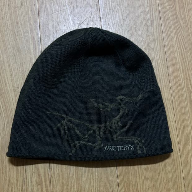 아크테릭스 버드 헤드 토크 비니