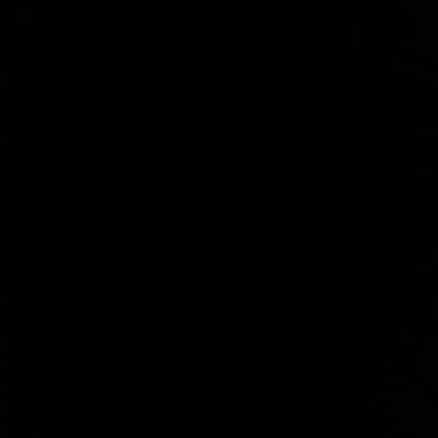 크롬하츠 홀스슈