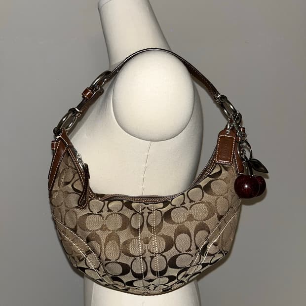 Coach Brown mini Shoulder Bag