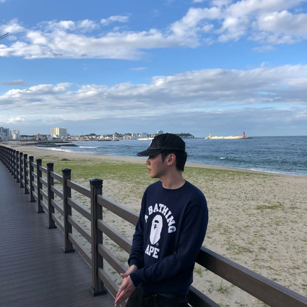 베이프 컬리지 니트