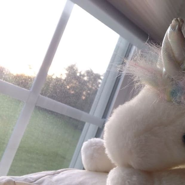 슈슈룸 택배 공지