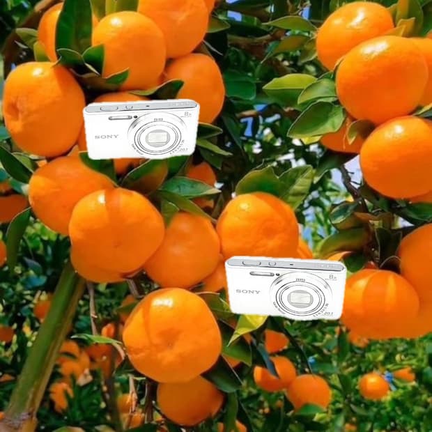 희귀&입문!) Sony Cyber-shot W830 디카 카메라