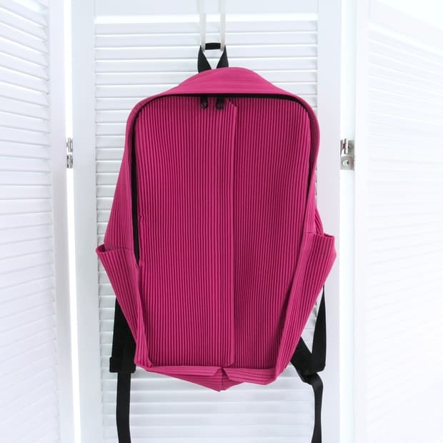 이세이미야케 플리츠플리즈 백팩