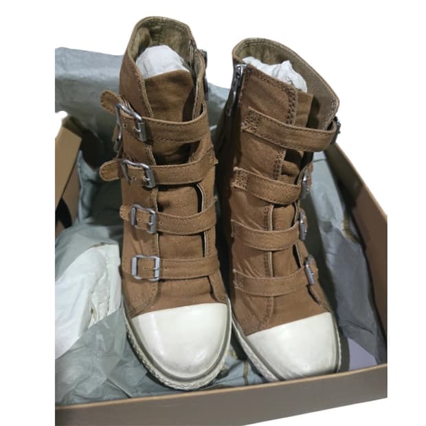 Ash 하이탑 스니커즈 38