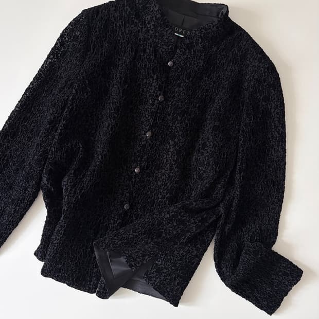 velour wrinkle blouse