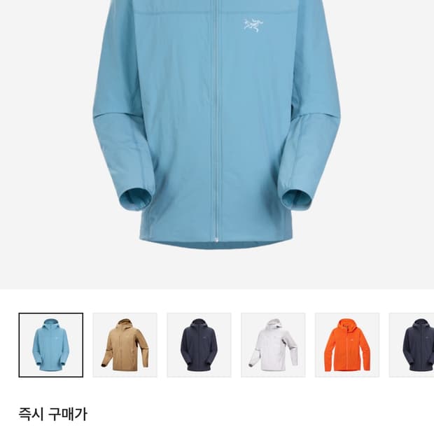 아크테릭스 감마 라이트웨이트 후디 솔레스