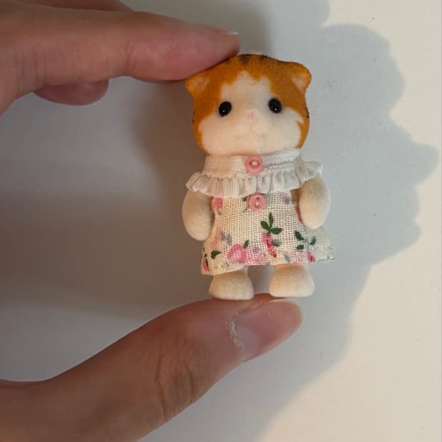실바니안 패밀리 메이플 캣 고양이 직립