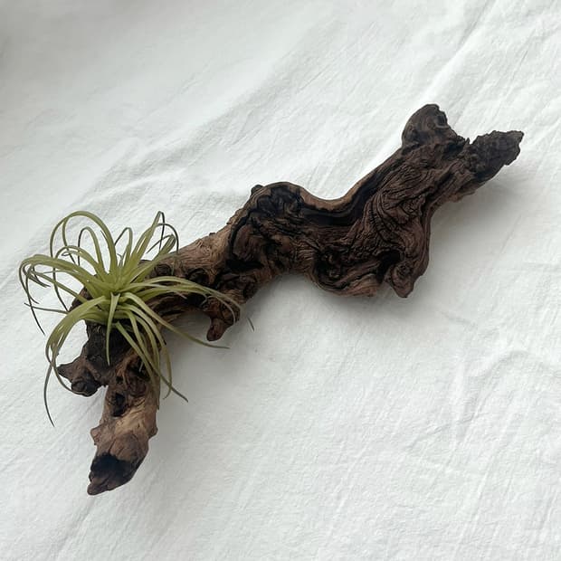 wood object 043
