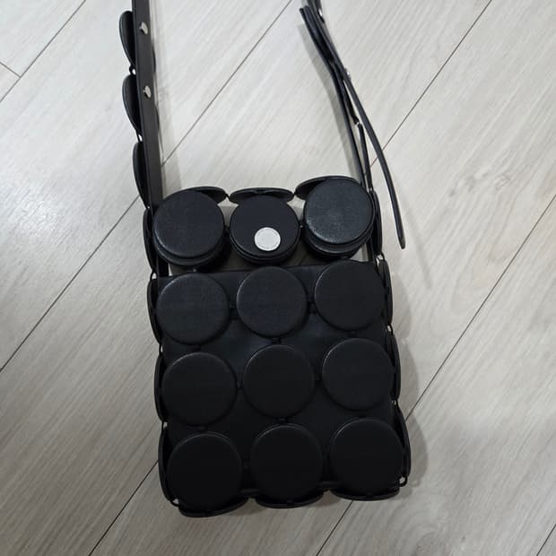 이세이미야케 미니크로스백