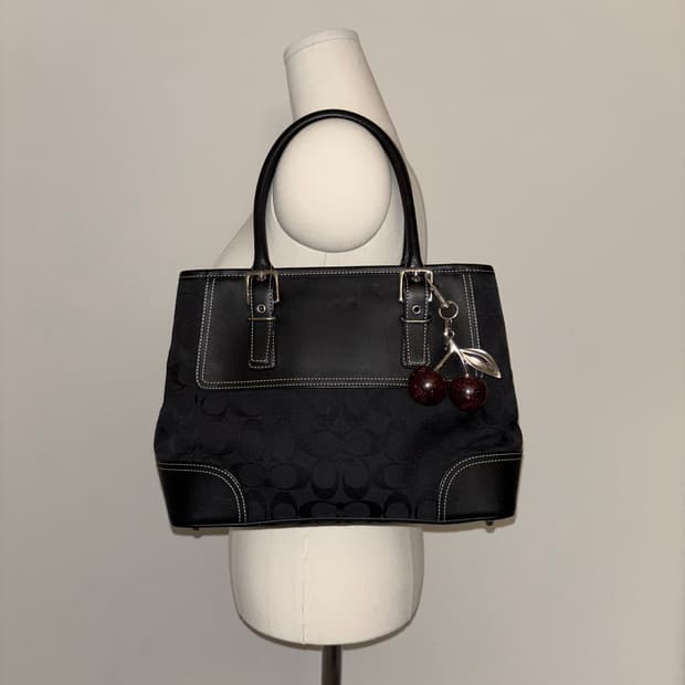 🚨연말세일🚨Coach Vintage Signature Bag