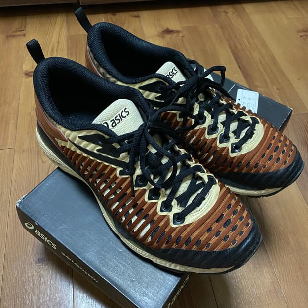 [275]키코코스타디노브 젤델바 브라운