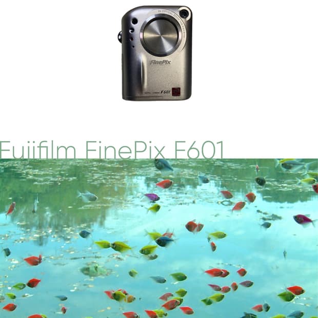 Fujifilm FinePix F601