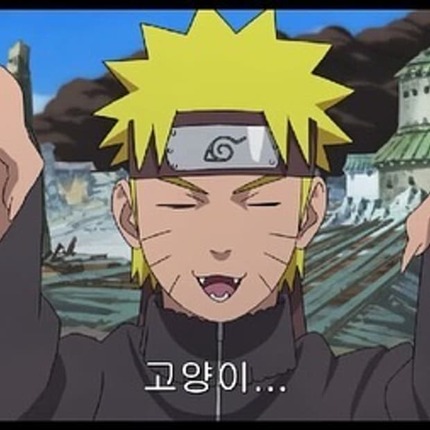 구매) 폴리테루 코튼베스트 4 블블