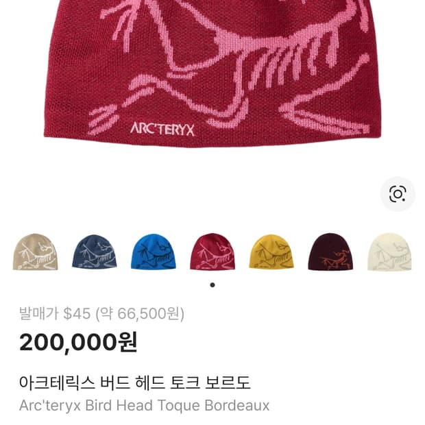 아크테릭스 비니 헤드 토크 보르도 버건디