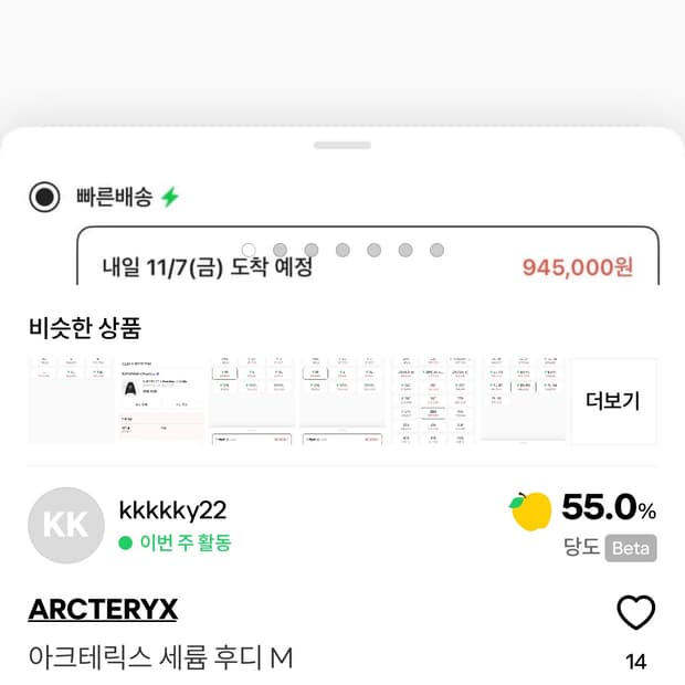 판매) 아크테릭스 세륨 후디 M