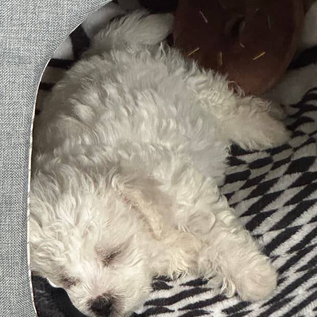 준현이카겨여여여여여열