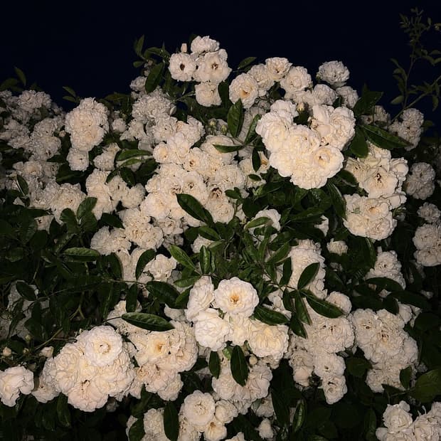 ☁️ 6월 3일 기념, 6,300원 할인