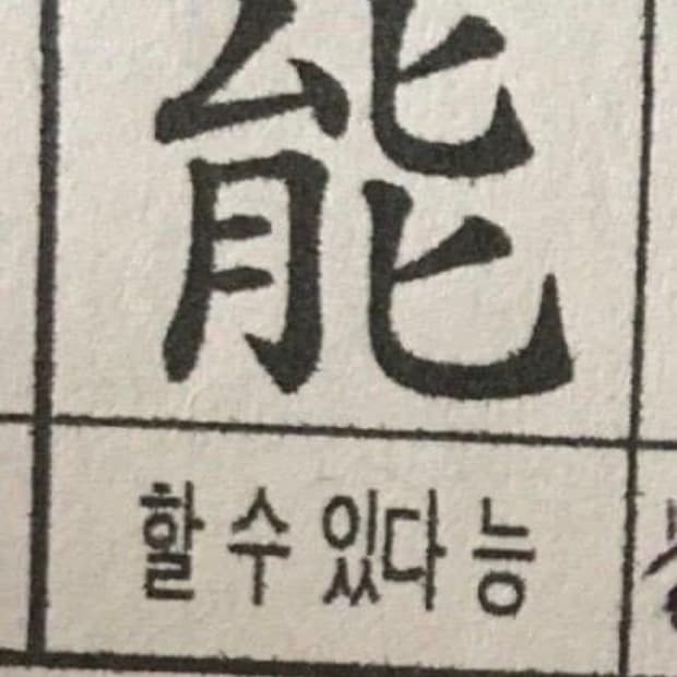 XL) 크롬하츠 홀스슈 플리스 집업후드 오사카