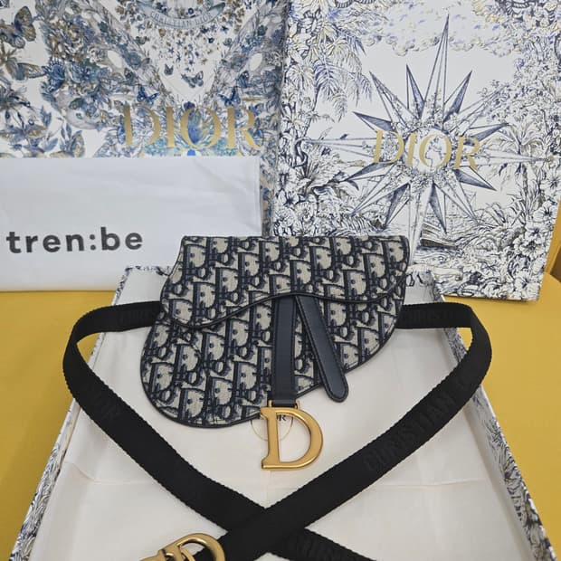 디올 오블리크 새들 벨트백