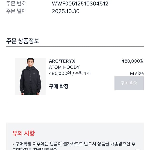 아크테릭스 아톰 후디 M