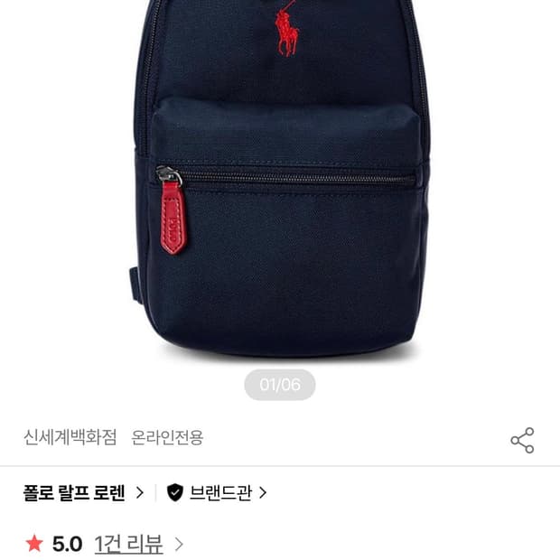 폴로 빅 포니 슬링 백팩