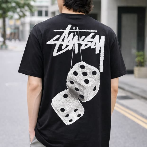 👕 STUSSY 다이스 백프린트 반팔 티셔츠 (Black)