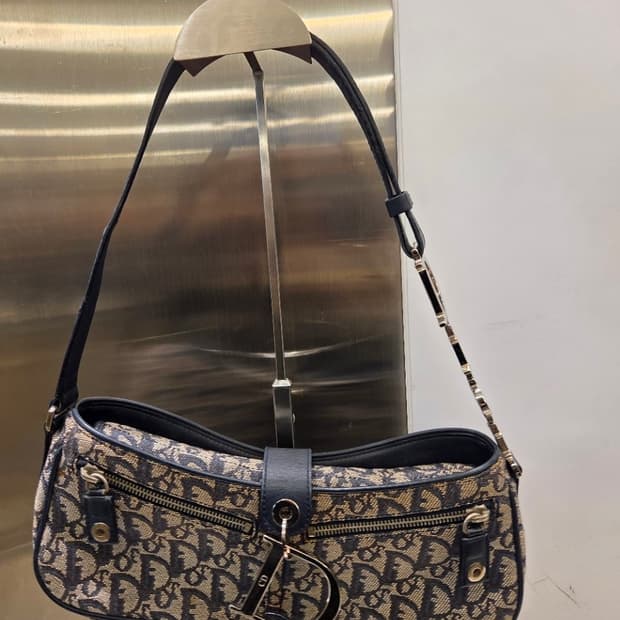 디올 오블리크 디링 숄더백