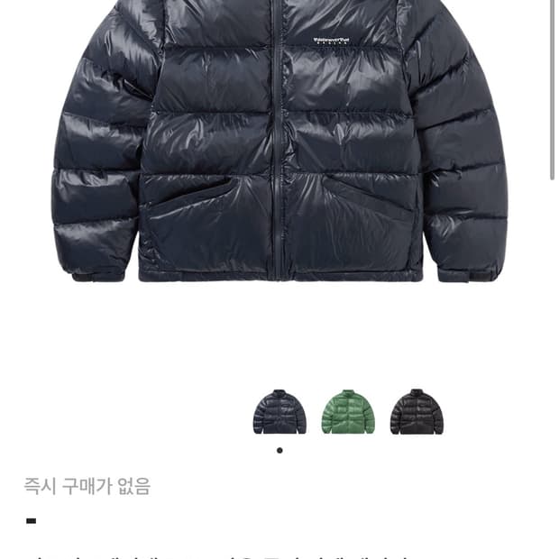 디스이즈네버댓 dsn패딩 L