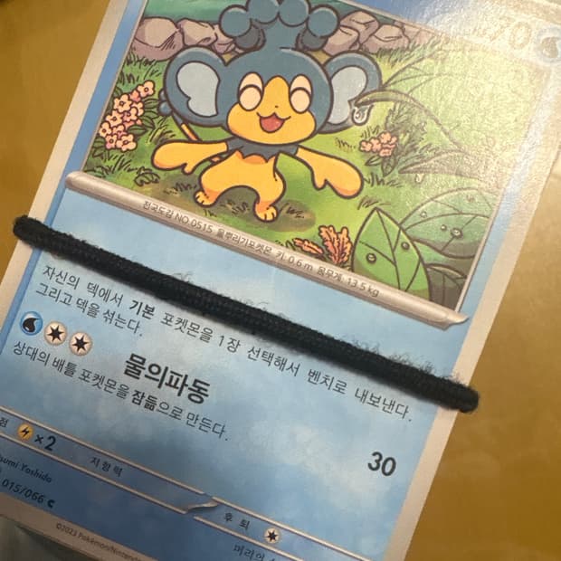 포켓몬 카드 약 400장