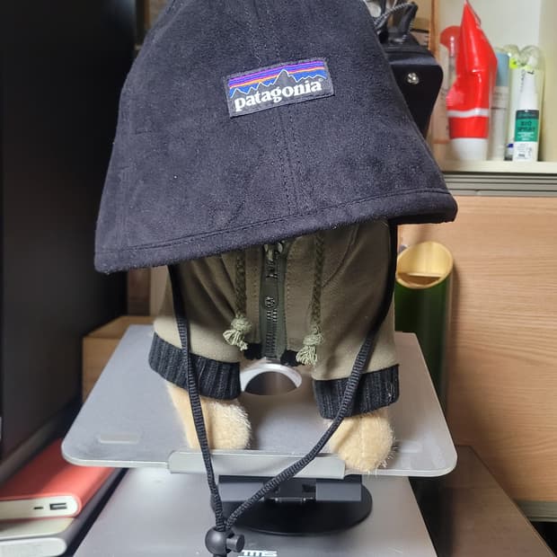 파타고니아 버킷모