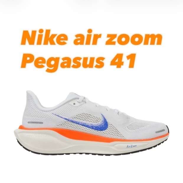 나이키 에어 줌 페가수스 41 블루 프린트