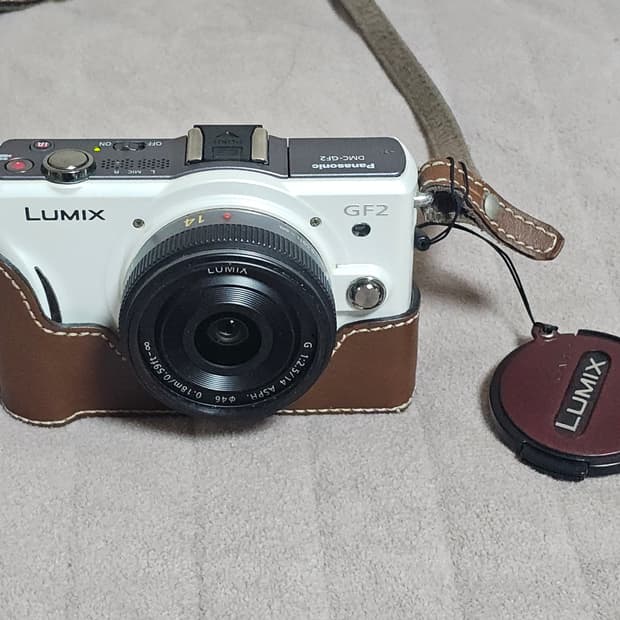 파나소닉 루믹스 GF2 미러리스 카메라