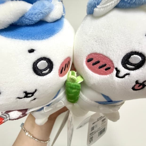 스시 치이카와 & 스시 하치와레 세트