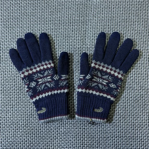 라코스테 장갑 (A6_2889)