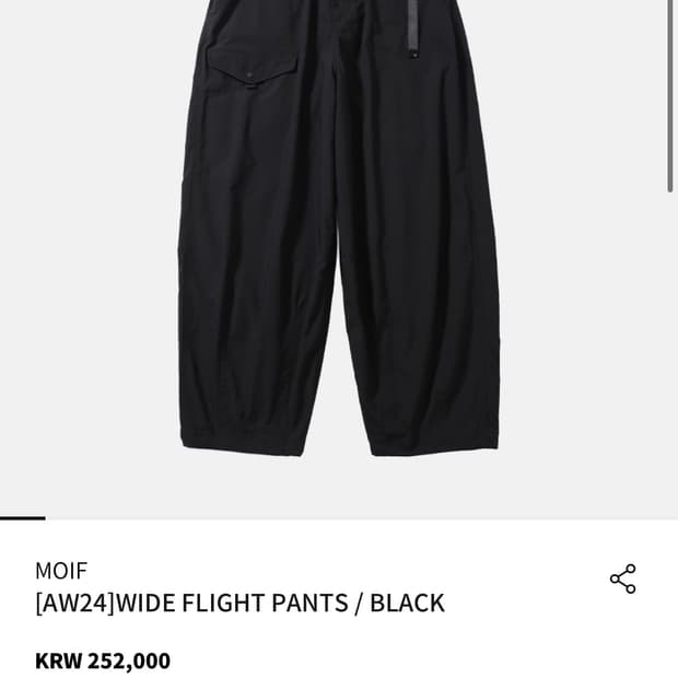 모이프 [AW24]WIDE FLIGHT PANTS / BLACK/2