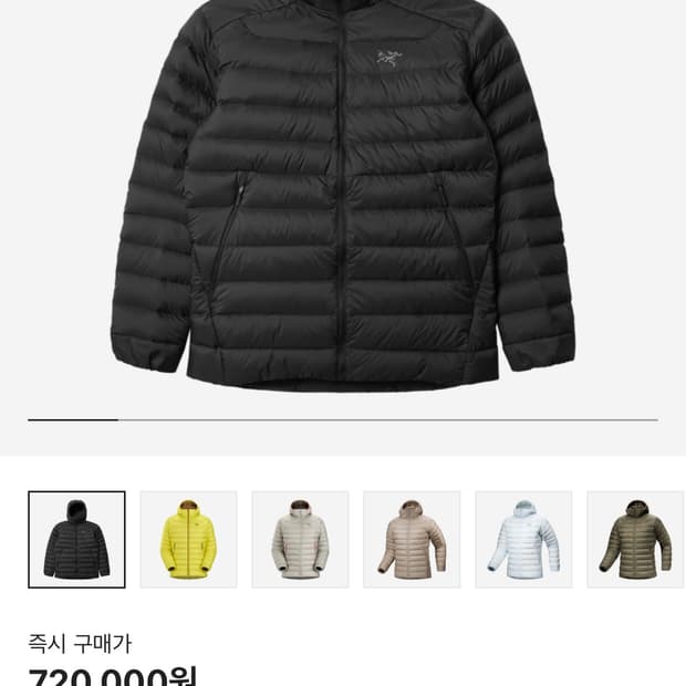 아크테릭스 세륨 후디 L