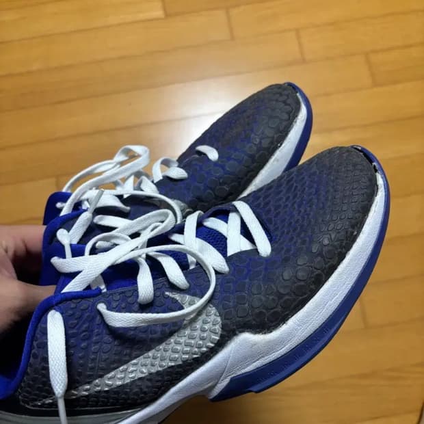 코비 6 퍼플 그라디언트 280