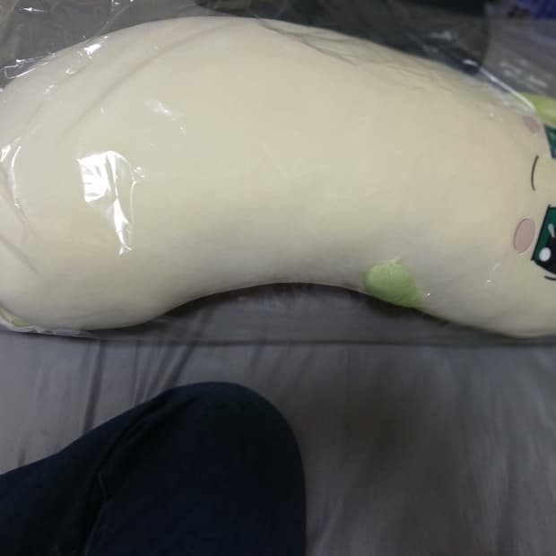 꼭 안아줘요 양파쿵야 바디필로우