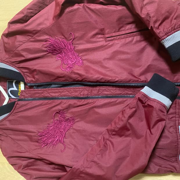 에비수 드래곤 스카쟌