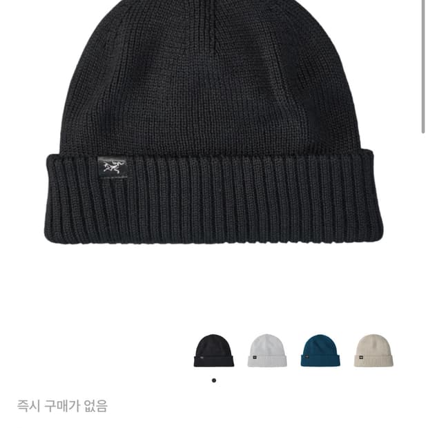 아크테릭스 말로우 비니