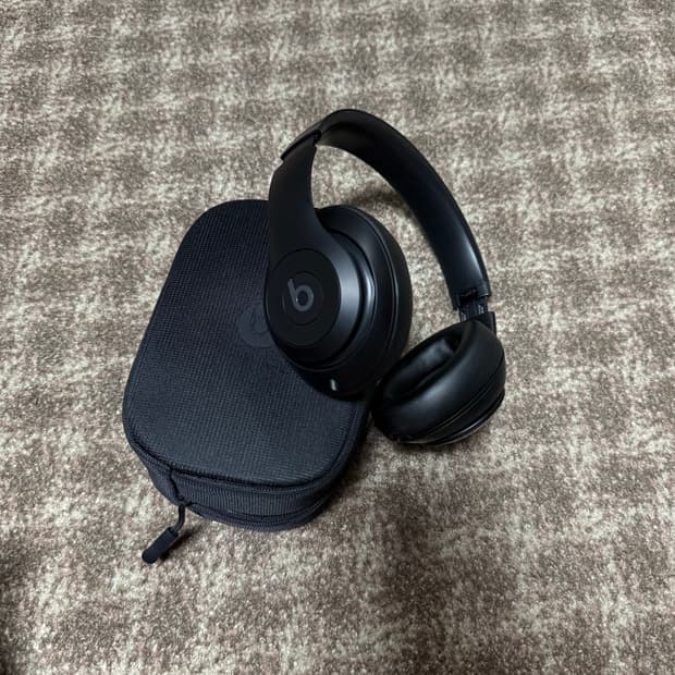 애플 비츠 스튜디오 프로 블랙