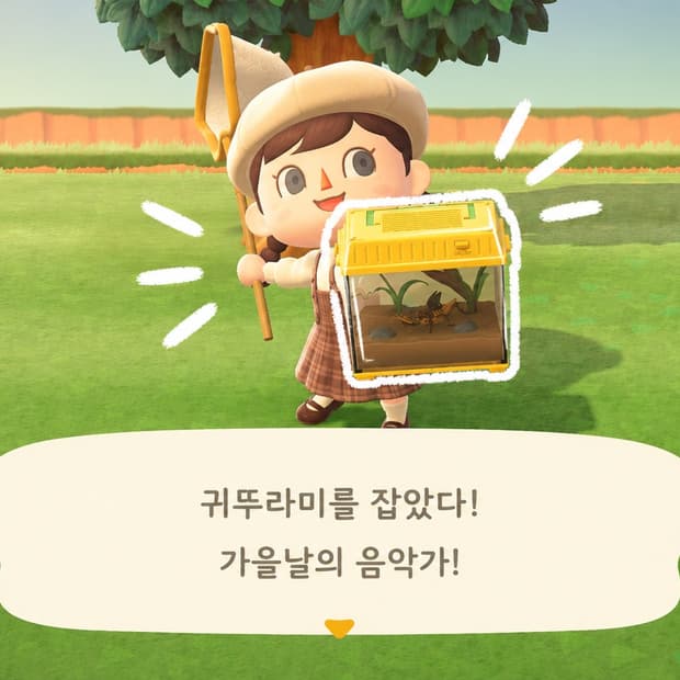 TOMY 타카라토미 채집통 피규어 고전완구 동물의숲