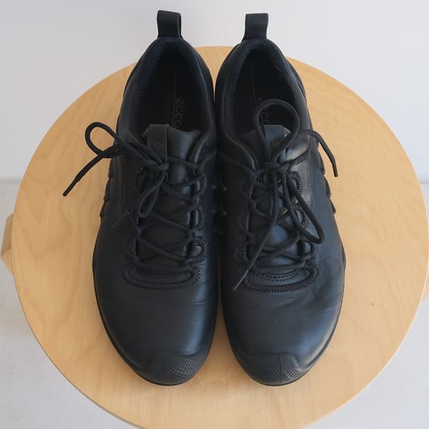 Ecco biom AEX