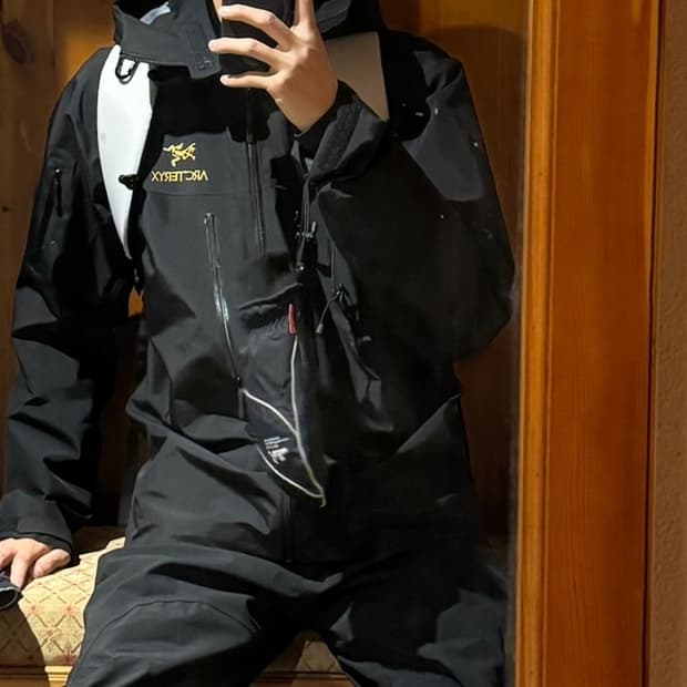 아크테릭스 알파sv 24k gold black L 