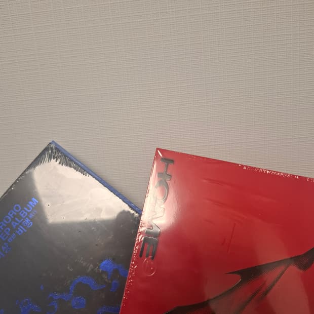 한로로 이상비행 집 cd